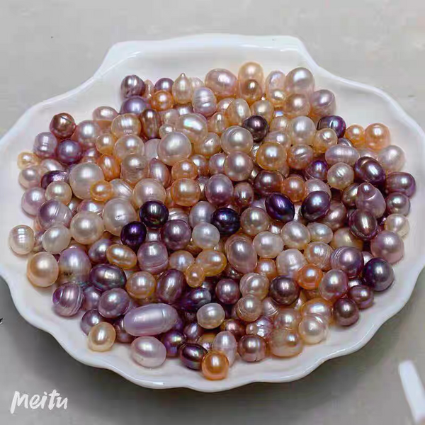 【Stimulating Giant Pearl Clam】 Freshwater Pearl Clam (Seedless) Guaranteed 10 Pearls Per Clam