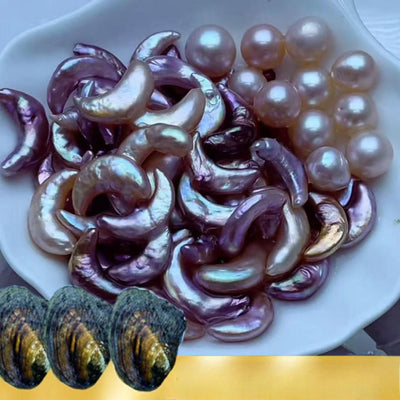 【New Moon Oyster】Freshwater Moon-Shaped Baroque Pearls Guaranteed Minimum of 2 Pearls per Oyster