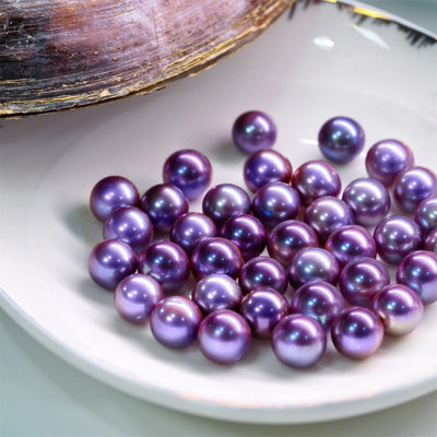 Freshwater Edison Single-Pearl Clam One Clam, One Pearl Experience Premium Quality Open Clam to Reveal Pearl Pearl Mystery Box DIY Jewelry