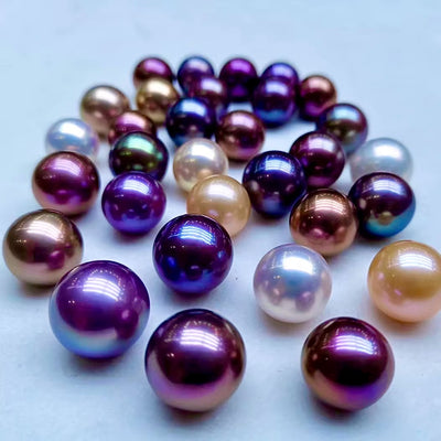 Freshwater Edison Single-Pearl Clam One Clam, One Pearl Experience Premium Quality Open Clam to Reveal Pearl Pearl Mystery Box DIY Jewelry